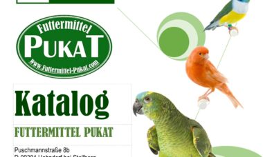 pukis-katalog-2022